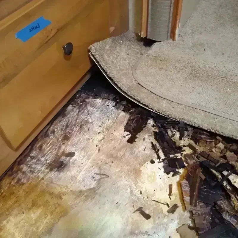 Wood Floor Water Damage in Carver, MN